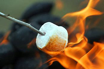 Toasted Marshmallow Day 2024 - Aug 30, 2024