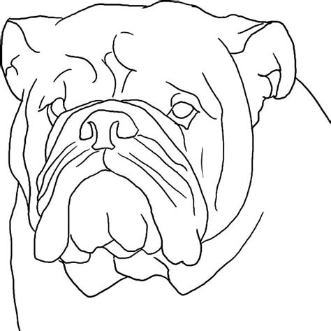 Boxer Dog Face Coloring Pages