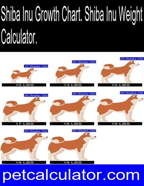 Shiba Inu Growth Chart. Shiba Inu Weight Calculator. | Shiba inu ...