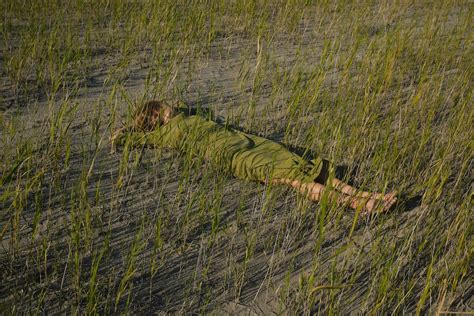 A person laying in a field of tall grass photo – Green dress Image on Unsplash