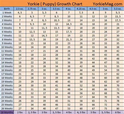 How Big Will My Puppy Get Chart - Chart Walls