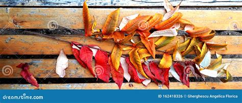 Colorful Autumn Leaves Illustration for Facebook Cover Stock Photo ...