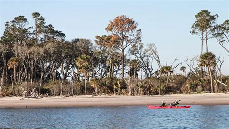 Talbot Island Kayak Tour | Kayak Amelia Island | Amelia Adventures