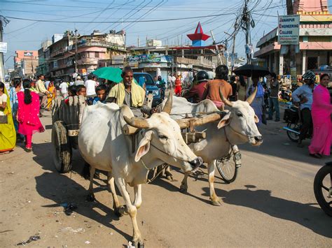 Janakpur on Behance