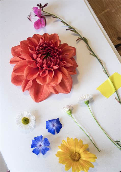 Beginner’s Guide: Pressing Flowers – Ella's Place