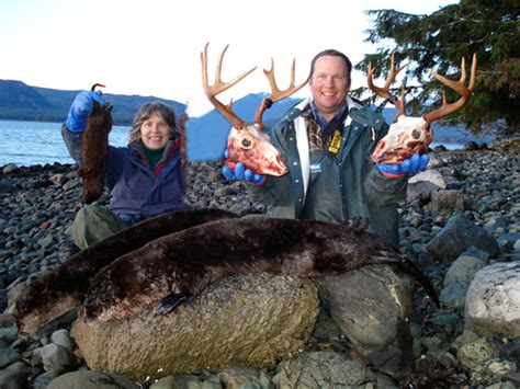 Why you should HUNT A TROPHY SITKA BLACKTAIL DEER with Treasure Hunter Lodge