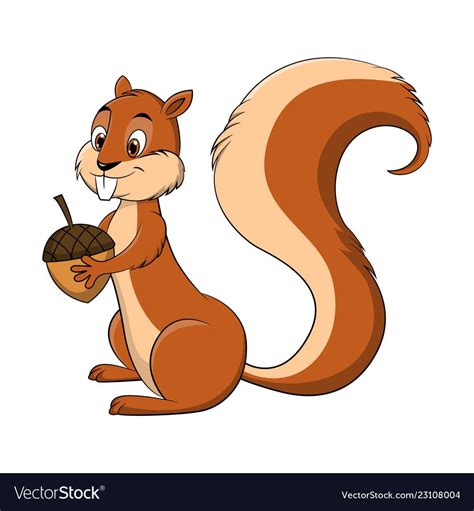 Cartoon drawing of a squirrel vector image on VectorStock | Cute animal drawings, Cartoon ...