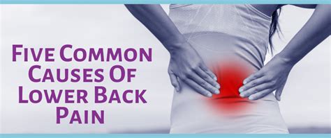 Five Common Causes of Lower Back Pain - Live Well Chiropractic Center