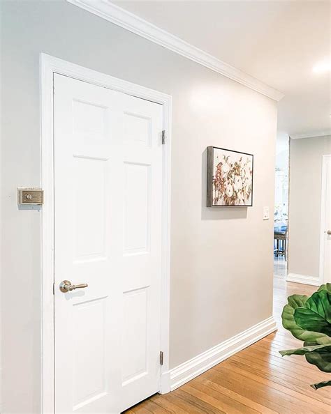 Crisp and Chic: Upgrade Your Entrance with a White Door and Gray Trim