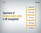 Project management: Importance of Tuckman ladder model in HR management