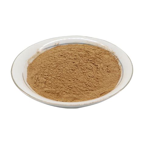 White Willow Bark Extract Salicin Powder Supplier