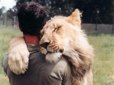 Animals hugging humans to cheer up your day (22 Photos) - The Dodo