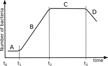 The phases of bacterial growth: A-lag phase; B-exponential phase;... | Download Scientific Diagram