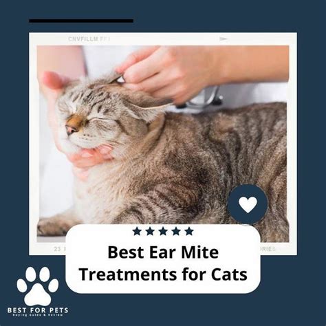 Ear Mite Medicine for Cats :The Ultimate Guide