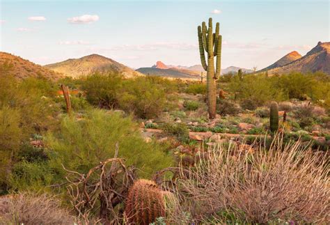 Sonoran desert Landscape images 8142451 Stock Photo at Vecteezy