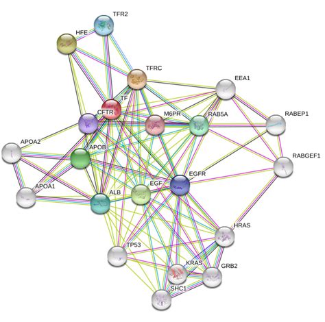 Transferrin Protein Overview | Sino Biological