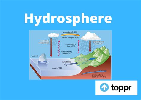 Hydrosphere: Definition, Components, Importance and Examples