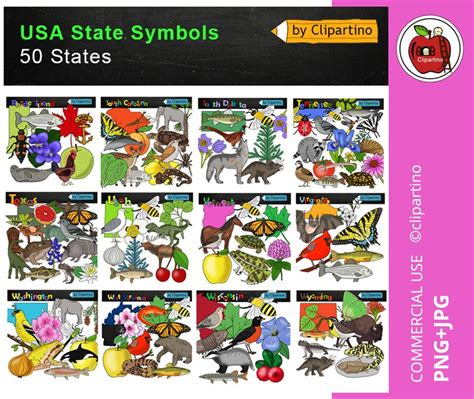 Georgia clip art-Georgia state symbols clipart-Georgia map | Etsy