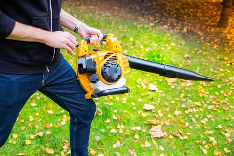 7 Best Cordless Leaf Blowers of 2024