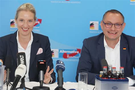 Beflügelt von Umfragewerten: AfD legt "Regierungsprogramm" vor!