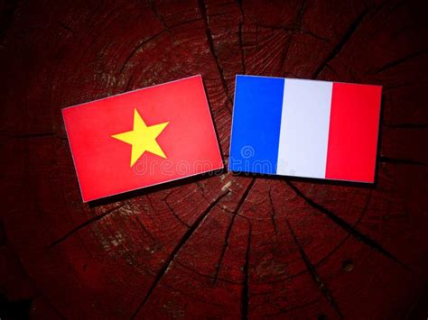 Vietnamese Flag with French Flag on a Tree Stump Isolated Stock Photo ...