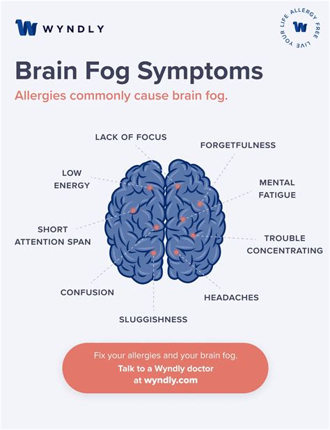 Brain Fog and Allergies: Symptoms, Treatment, and Cure (2024) & Wyndly