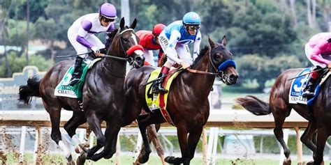 Best USA Horse Betting Sites | Best USA Racebooks