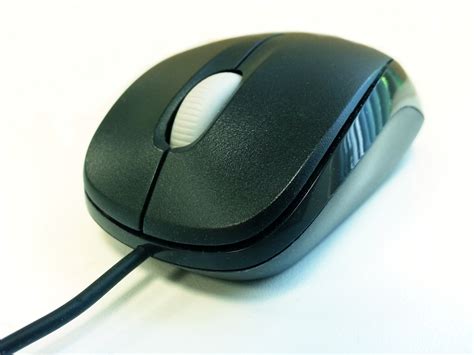 Mouse Free Stock Photo - Public Domain Pictures