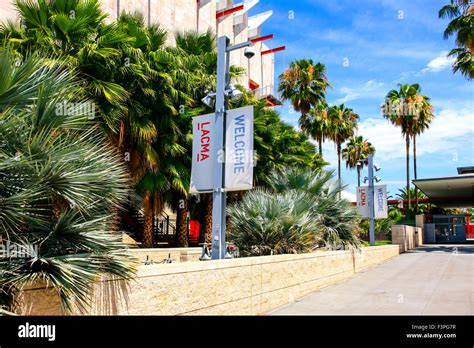 The Los Angeles County Museum of Art (LACMA) is an art museum located ...