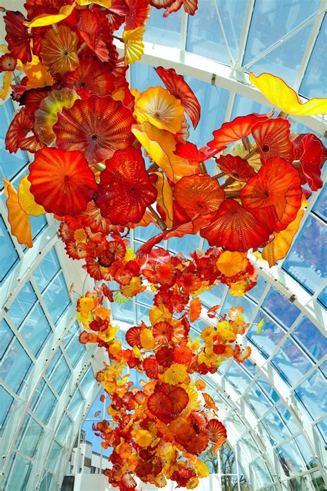 Dale Chihuly's Vibrant Glass Sculpture Garden