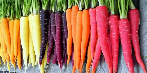 Rainbow Carrots Are the Next Big Garden Trend and You Can Buy the Seeds on Etsy