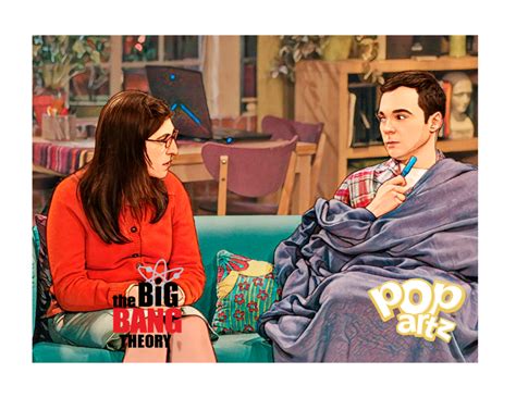 Big Bang Theory - Sheldon and Amy - Pop Artz