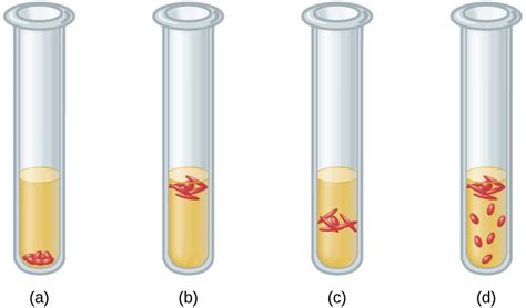 Atmospheric Requirements for Microbial Growth | Microbiology