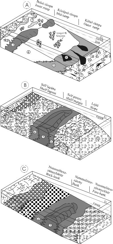 Examples of earlier models for the Eocene depositional setting and... | Download Scientific Diagram