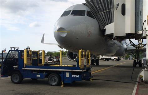 Bird strike causes plane to make unplanned landing at Sea-Tac | The Seattle Times