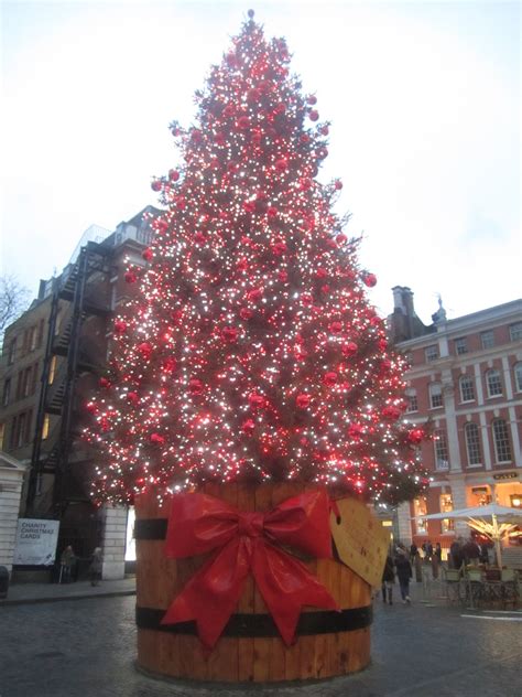 Gibby Goes to London: Christmas tree in Covent Garden