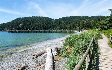 Bowman Bay Pier and Pacific NW Trail Photograph by Tom Cochran - Fine Art America