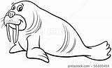 walrus Animal Character cartoon coloring Page  스톡일러스트 56800464 PIXTA sketch template