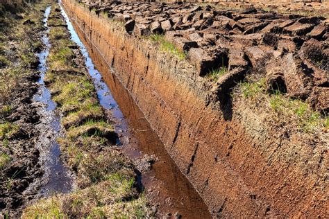 The Significance of Peat In Whisky - Whisky Investment