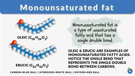 Monounsaturated fat - Definition and Examples - Biology Online Dictionary