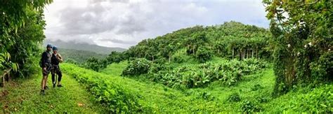 Yunque Ziplining (Luquillo) - 2020 All You Need to Know BEFORE You Go (with Photos) - TripAdvisor