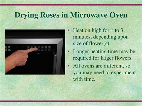 Drying Roses by Cindy Garrett - ppt download