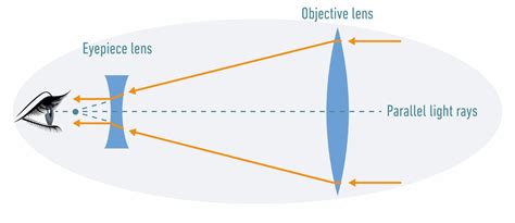 How Do Binoculars Work? Explained (with Pictures) - Optics Mag