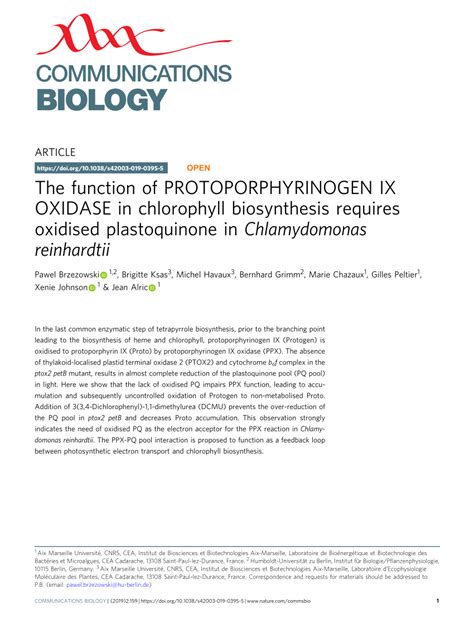 (PDF) The function of PROTOPORPHYRINOGEN IX OXIDASE in chlorophyll biosynthesis requires ...