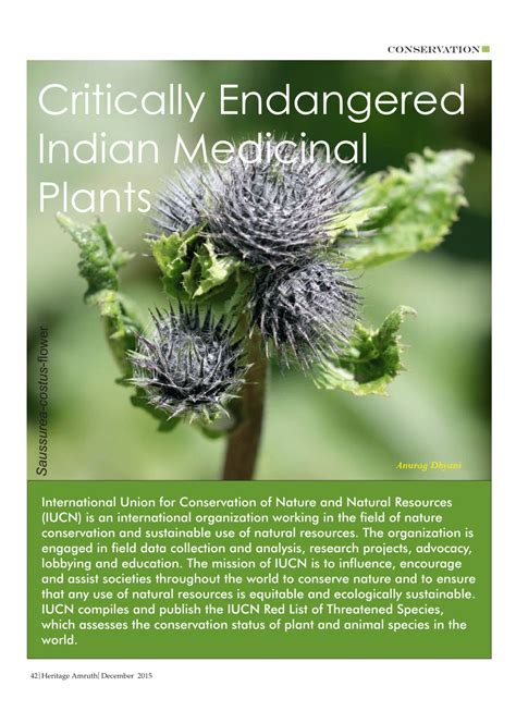 (PDF) Critically Endangered Indian Medicinal Plants