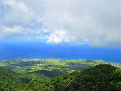 St. Kitts Mount Liamuiga Volcano Hiking Excursion - St. Kitts Excursions