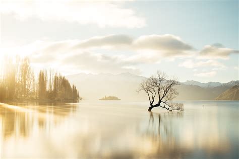 That-Wanaka-Tree-Winter-Sunset-JL - Criffel Peak View