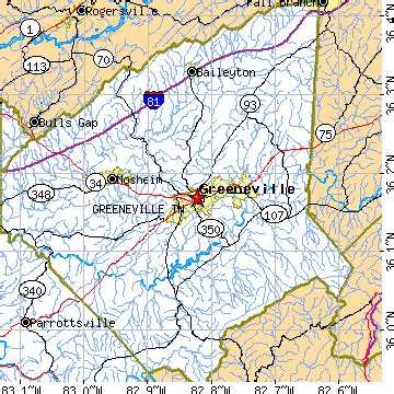 Greeneville, Tennessee (TN) ~ population data, races, housing & economy