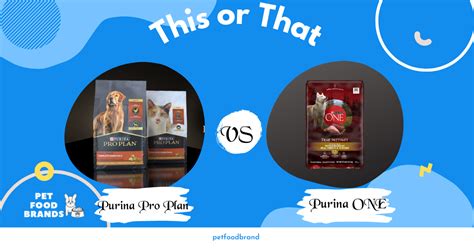 Purina ONE vs. Pro Plan: Which Dog Food to Choose?