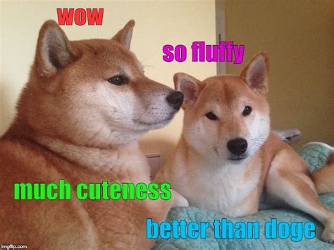 Doge Meme Generator | Doge meme, Doge, Memes